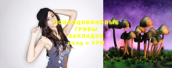 jwh Лиски