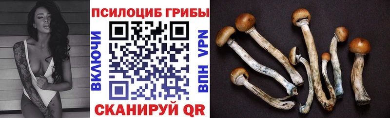 Псилоцибиновые грибы MAGIC MUSHROOMS Перевоз